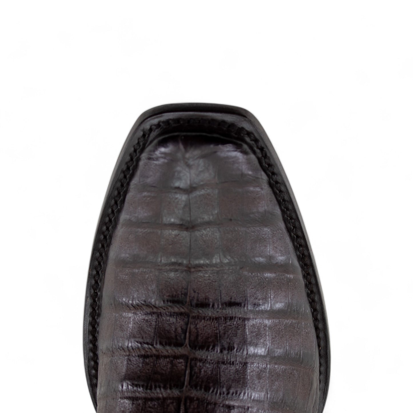 ENZO LEGACY 12" COCODRILO BROWN