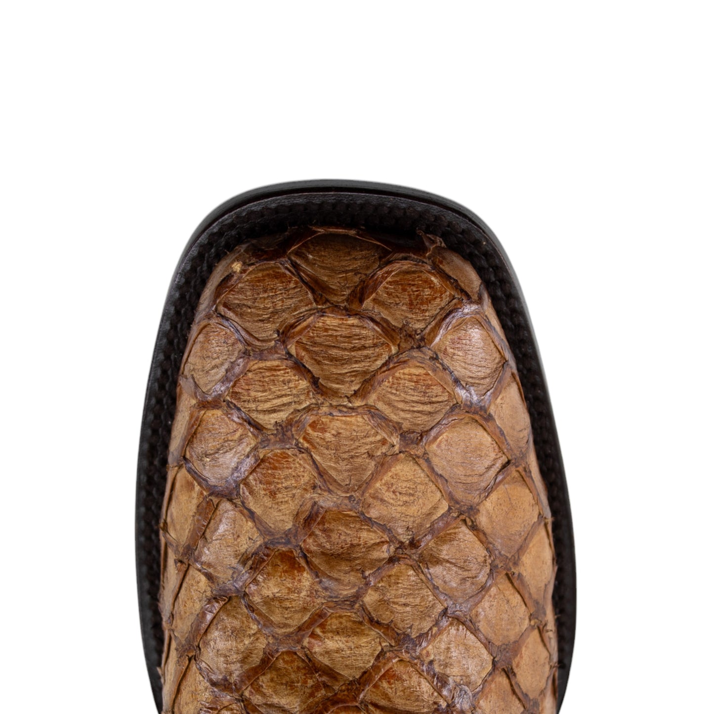 AXL LEGACY 12" PIRARUCÚ