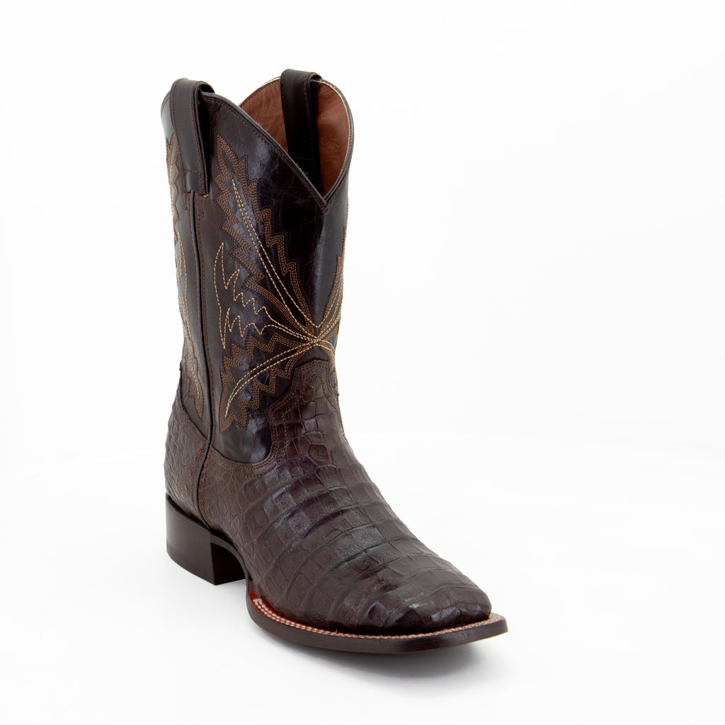 WESTERN EX CAIMAN BELLY CAFÉ