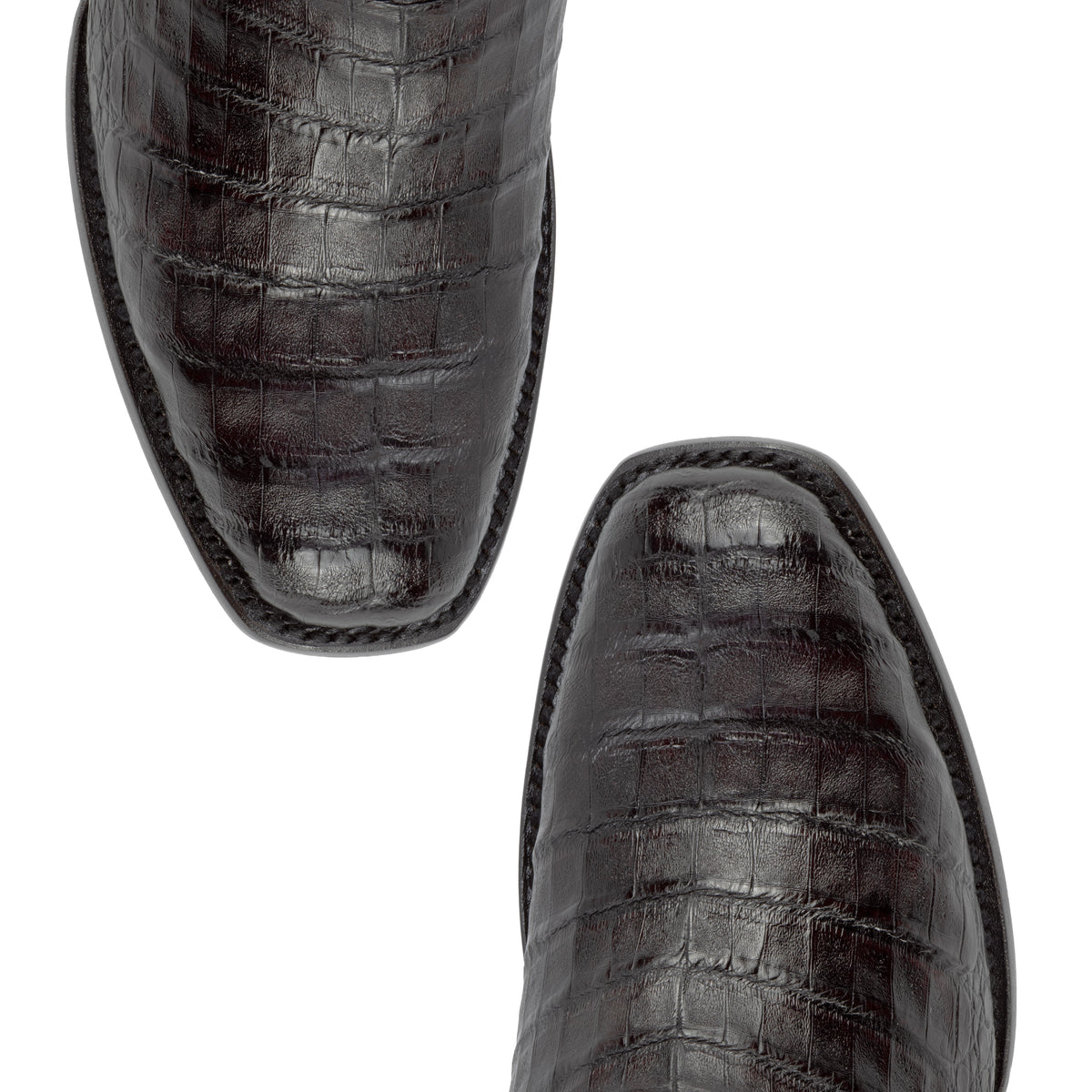 TL CLASSIC CAIMAN BLACKCHERRY MA1