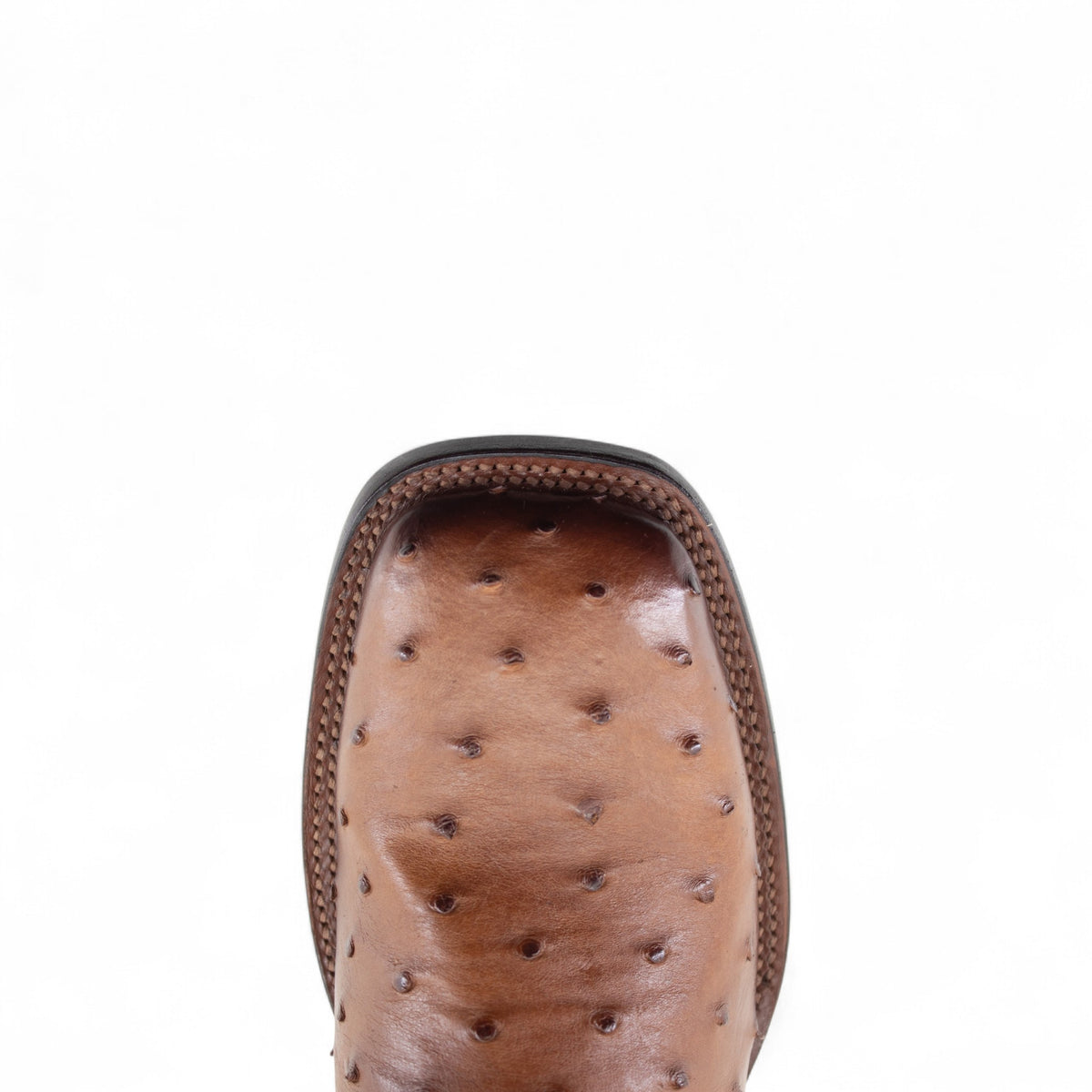ROY LEGACY 11" EXO OSTRICH TAN