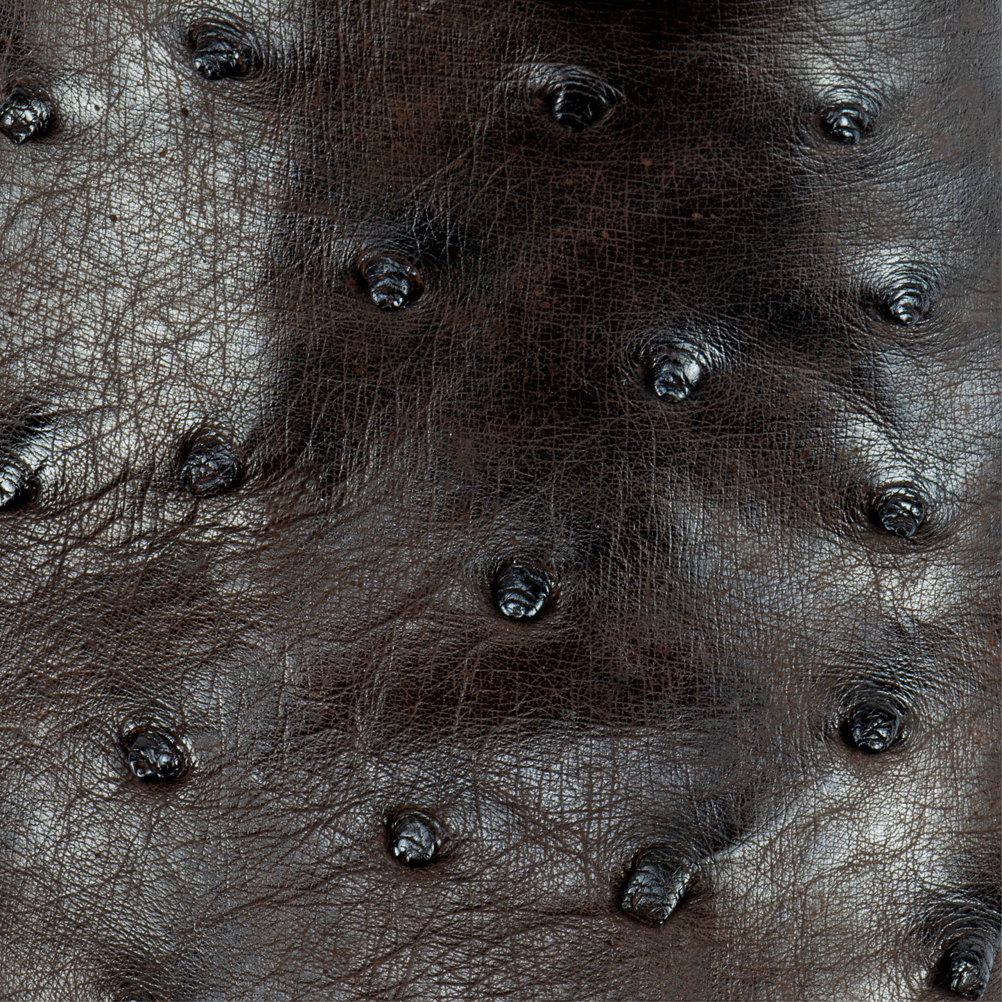 BOTIN LEGACY EXO AVESTRUZ OCRE