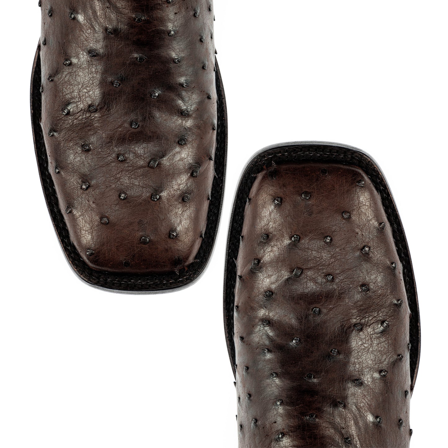 REEVES 7" LEGACY OSTRICH OCRE
