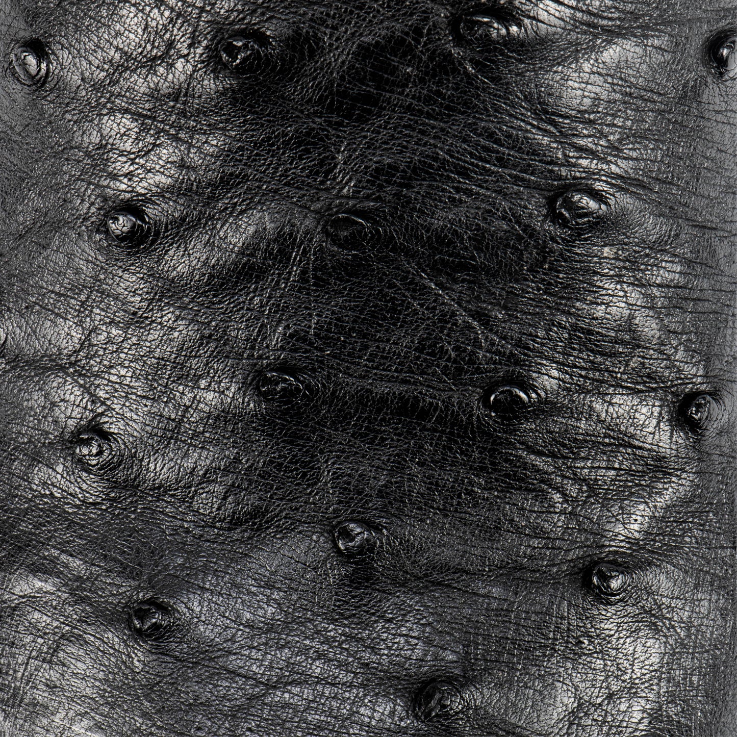 BOTIN LEGACY EXO AVESTRUZ BK