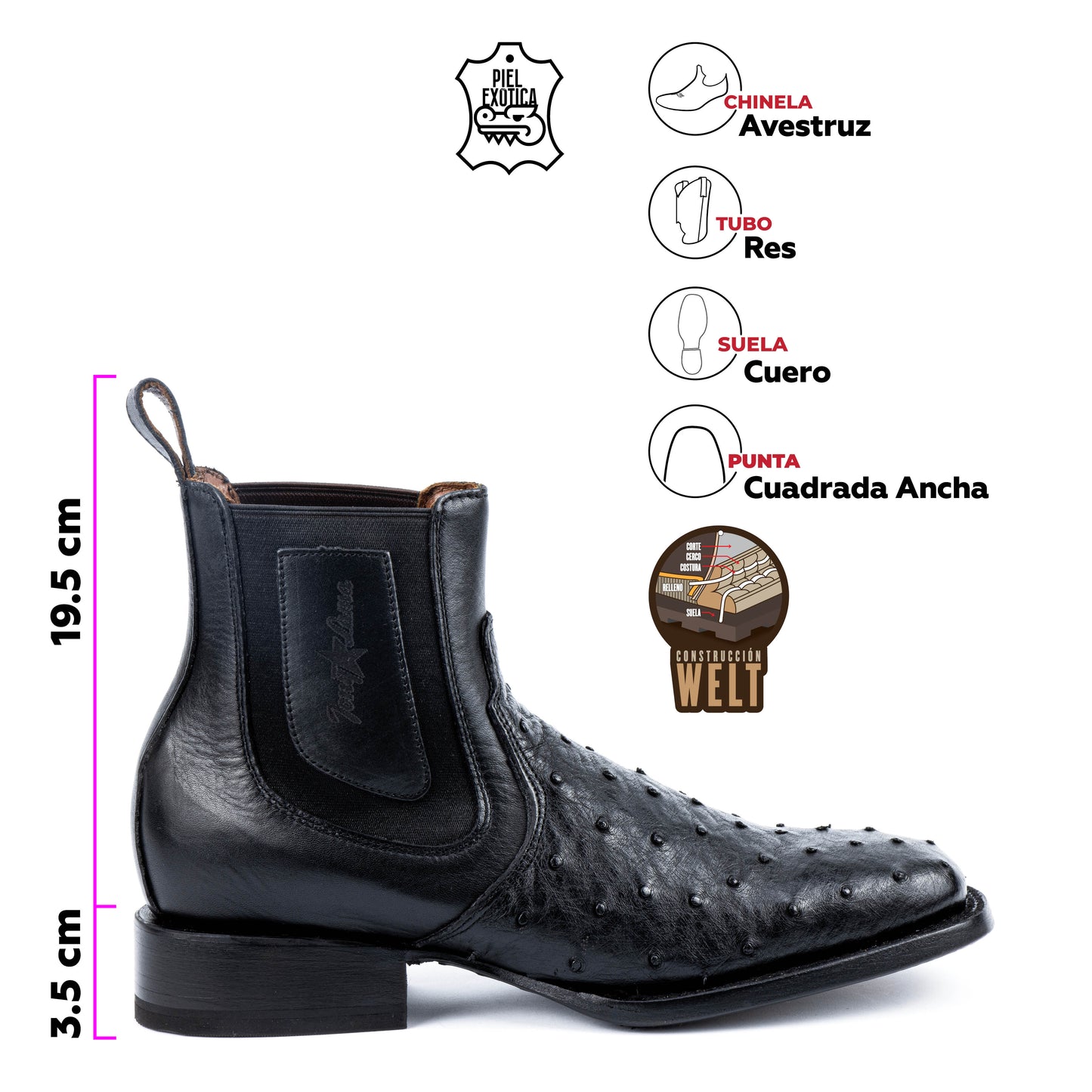 HICKOK 7" LEGACY OSTRICH BLACK
