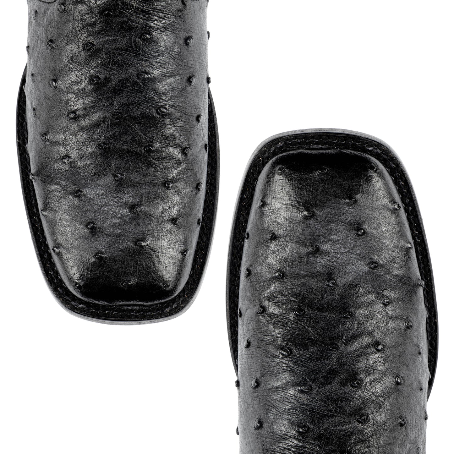 BOTIN LEGACY EXO AVESTRUZ BK