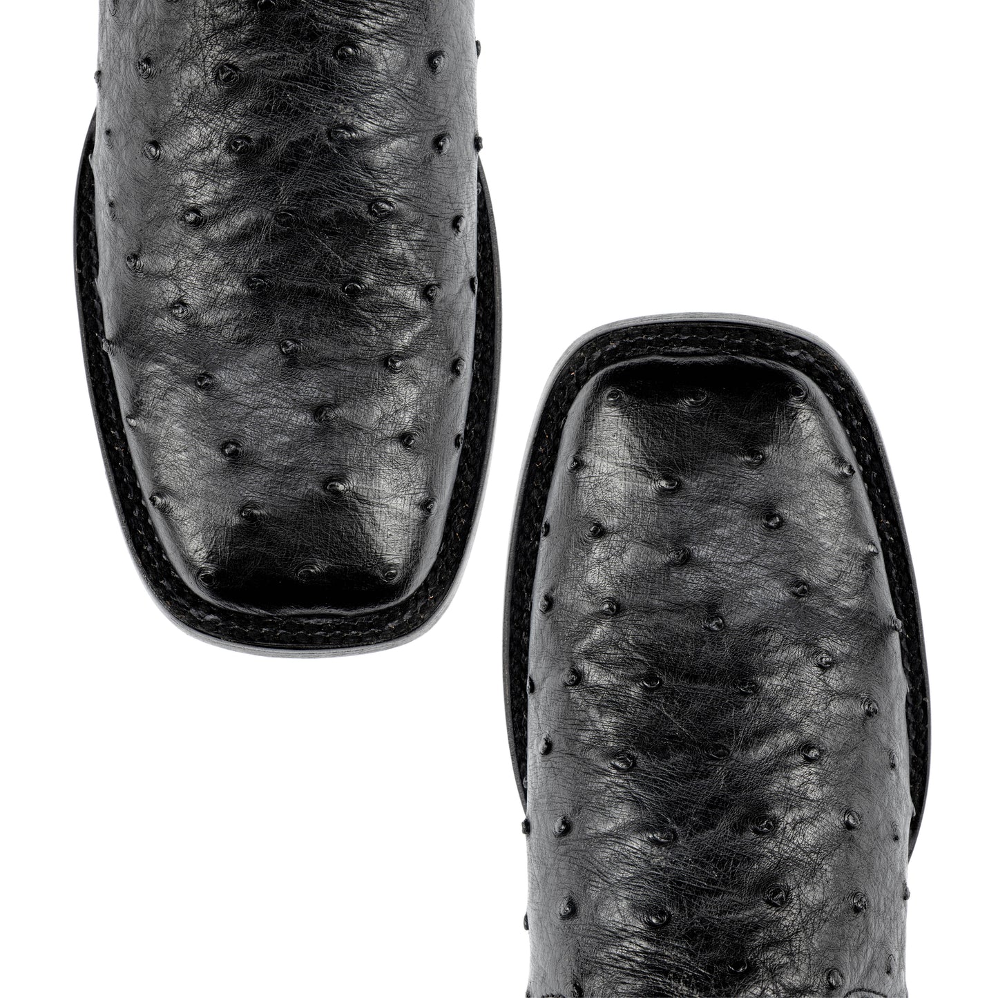 HICKOK 7" LEGACY OSTRICH BLACK